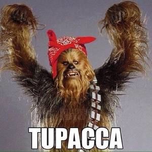 Meet your Posher, Brieanna